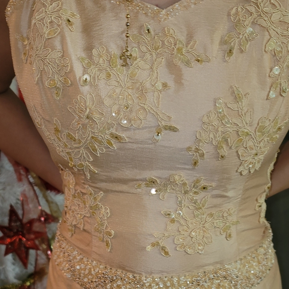 Peach Maxi With Jacket - Picture 4 of 4